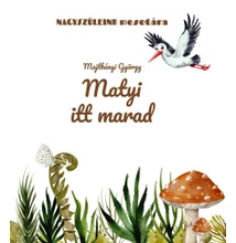 Majthényi György: Matyi itt marad