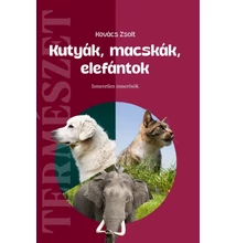 Kovács Zsolt: Kutyák, macskák, elefántok