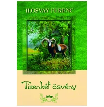 Ilosvay Ferenc: Tizenkét ösvény