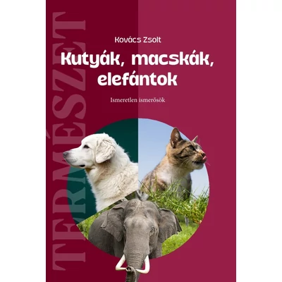 Kovács Zsolt: Kutyák, macskák, elefántok