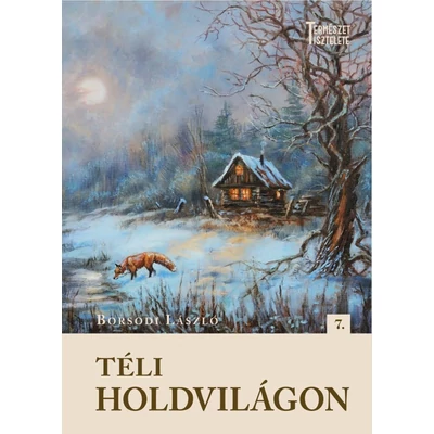 Borsodi László: Téli holdvilágon
