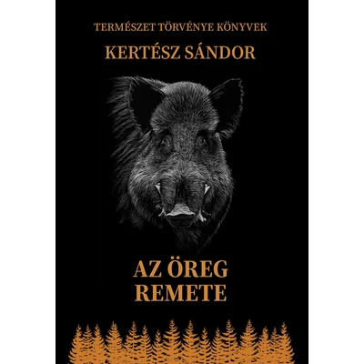 Kertész Sándor: Az öreg remete